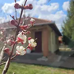 Appartement Gyuemoelcsoeskert Szallashely *