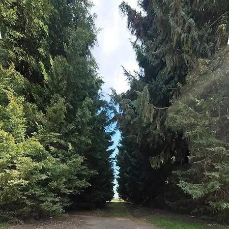 Gyümölcsöskert