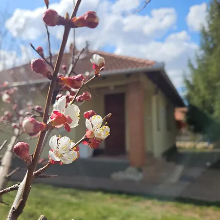 Apartament Gyuemoelcsoeskert Szallashely *